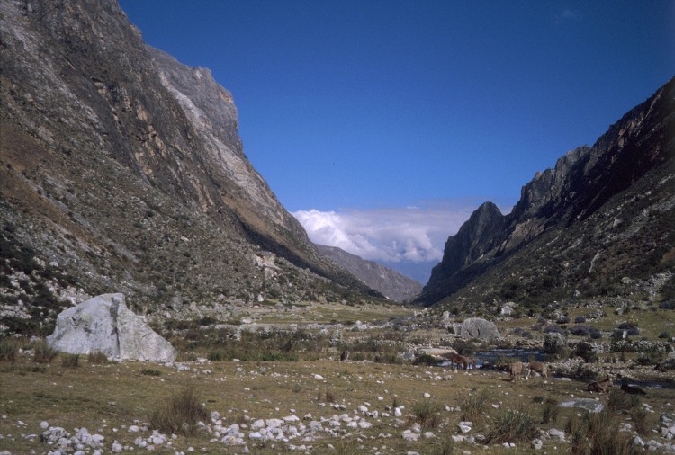 Peru 2000 (Bobr)