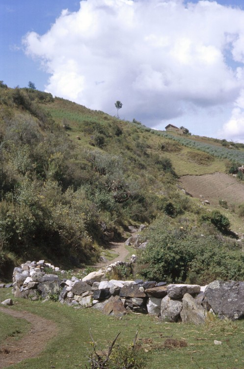 Peru 2000 (Bobr)
