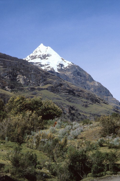 Peru 2000 (Bobr)