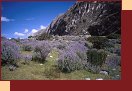  4103-16_Peru2000 
