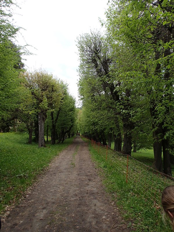 Vlkov
