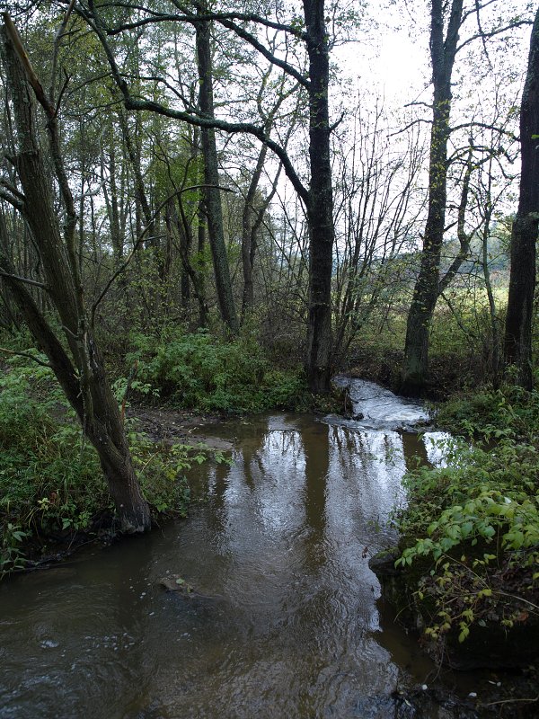 Vlkov Pozdzim 2013