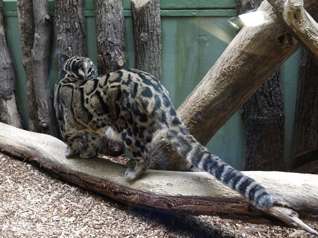 Zoo Praha 2013