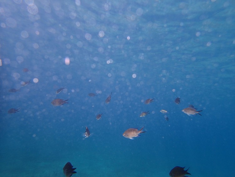 Baška Voda 2014