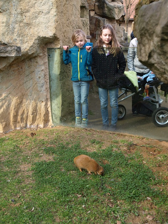 Prazske Zoo brezen 2014