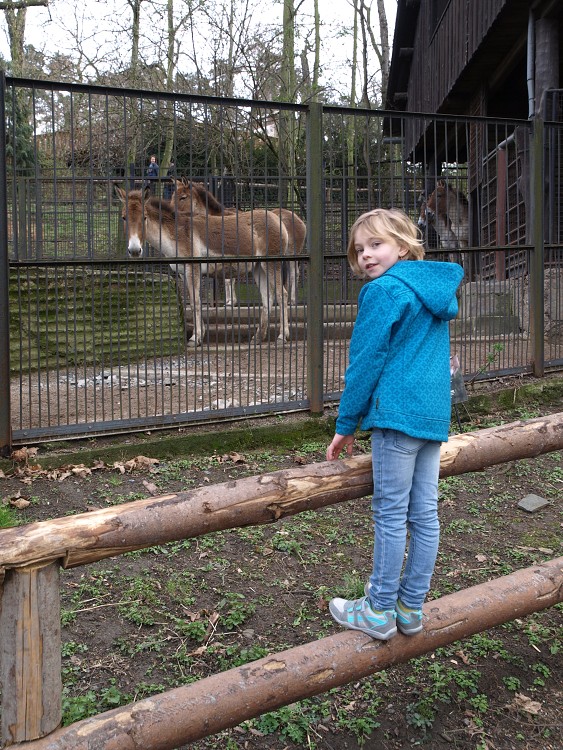 Prazske Zoo brezen 2014